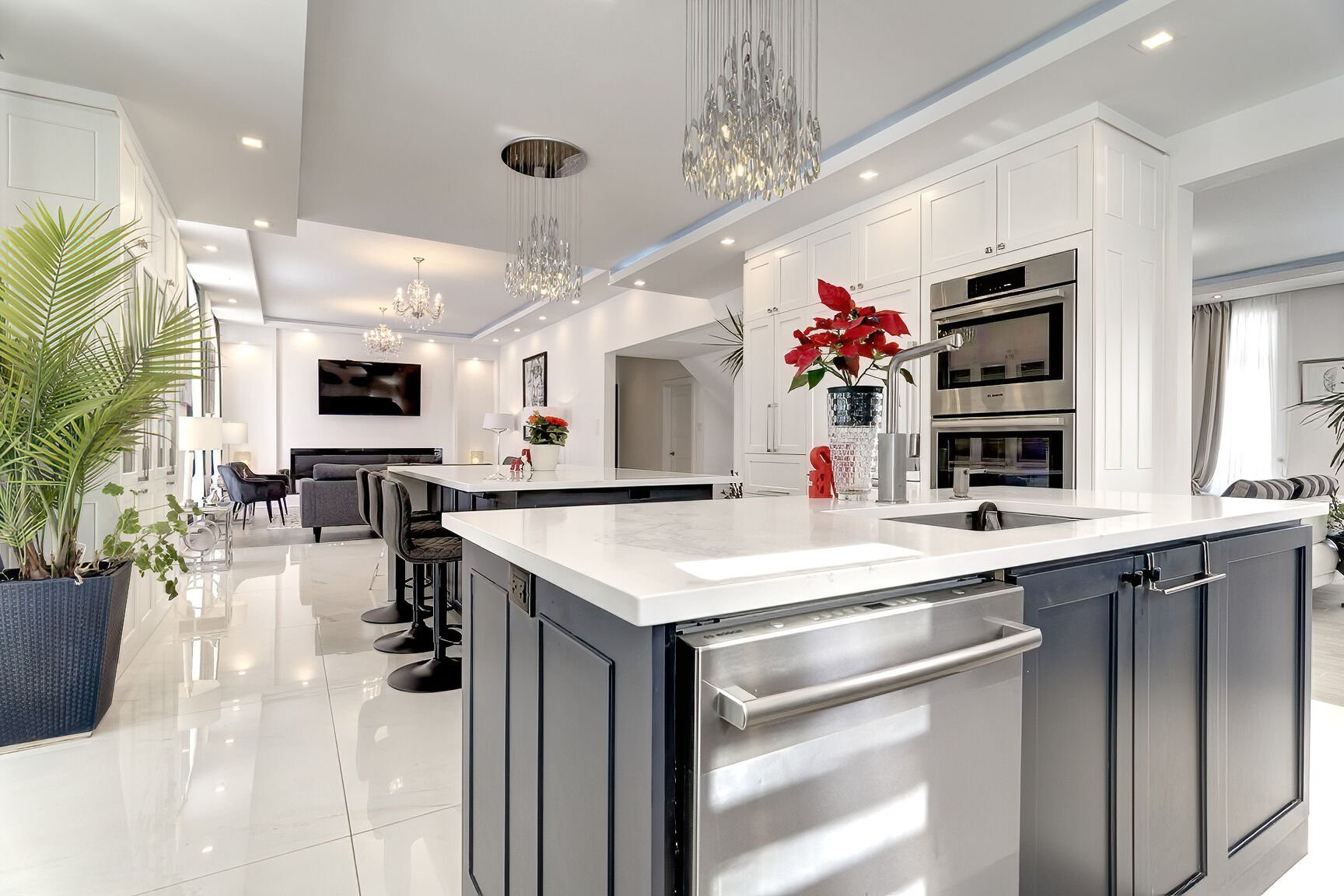 Luxury Residential Home